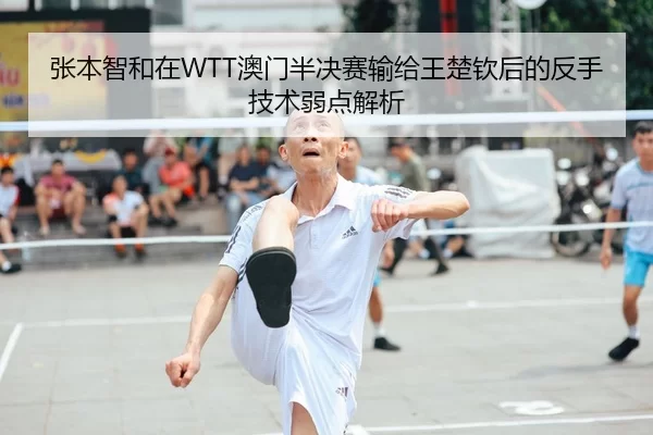 张本智和在WTT澳门半决赛输给王楚钦后的反手技术弱点解析